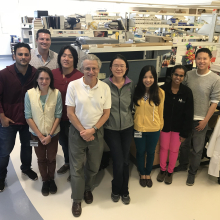 Our Lab | Craig Montell Lab | UC Santa Barbara